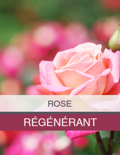 Eau Florale de Rose Bio 2