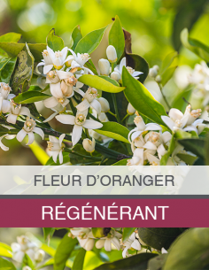 Eau Florale de Fleur... 2