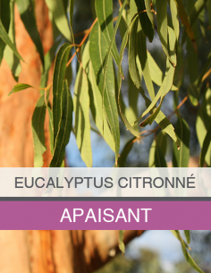 Huile Essentielle... 2