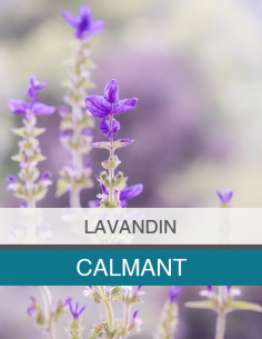 Huile Essentielle de... 2