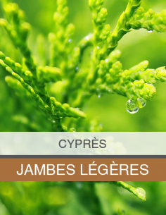 Huile Essentielle de Cyprès... 2