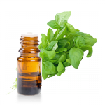 Huile-essentielle-Basilic-Francais