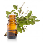 Huile-essentielle-Basilic-Tropical