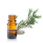 Huile-essentielle-Cajeput