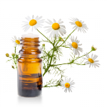 Huile-essentielle-Camomille-Romaine