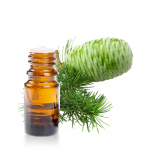 Huile-essentielle-Cedre-Atlas