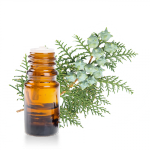 Huile-essentielle-Cypres