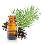 Huile-essentielle-Epinette-Noire