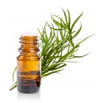Huile-essentielle-Estragon
