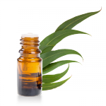 Huile-essentielle-Eucalyptus-Citriodora