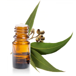 Huile-essentielle-Eucalyptus-Radiata