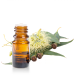 Huile-essentielle-Eucalyptus-Smithii