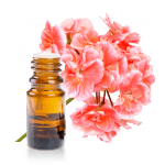 Huile-essentielle-Geranium-Bourbon
