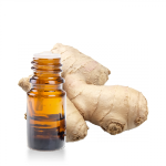Huile-essentielle-Gingembre