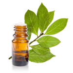 Huile-essentielle-Laurier-Noble