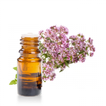 Huile-essentielle-Marjolaine-a-Coquilles