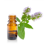 Huile-essentielle-Menthe-Poivree