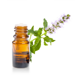 Huile-essentielle-Menthe-des-Champs
