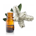 Huile-essentielle-Niaouli