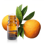 Huile-essentielle-Petit-Grain-Bigarade