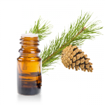 Huile-essentielle-Pin-Sylvestre