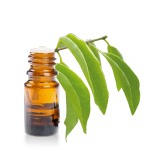 Huile-essentielle-Santal-Amyris