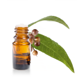 Huile-essentielle-Verveine-Yunnan