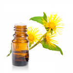 Huile-essentielle-Inule-Odorante