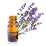 Huile-essentielle-Lavande-Aspic