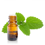 Huile-essentielle-melisse-officinale