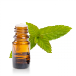 Huile-essentielle-menthe-verte