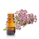 Huile-essentielle-origan