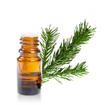 Huile-essentielle-sapin-de-siberie