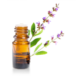 Huile-essentielle-sauge-espagne