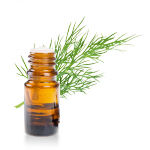 Huile-essentielle-Aneth