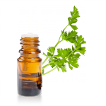 Huile-essentielle-Celeri