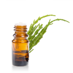 Huile-essentielle-Criste-Marine