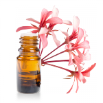 Huile-essentielle-Geranium-Afrique