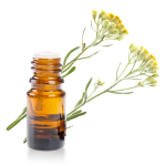 Huile-essentielle-Helichryse-Bracteiferum