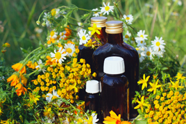 Les dossiers thématiques