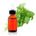 basilic-francais-10-ml