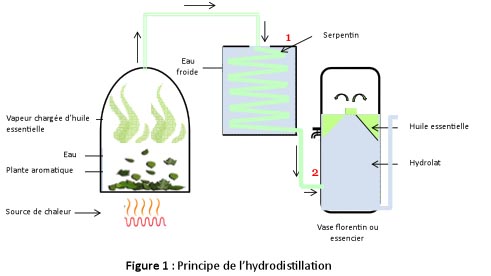 distillation-figure-01