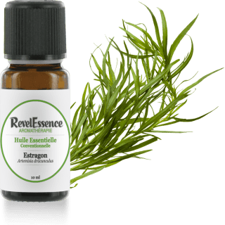 estragon-10-ml
