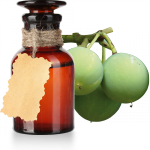 huile-vegetale-calophyllum