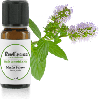 menthe-poivree-10-ml